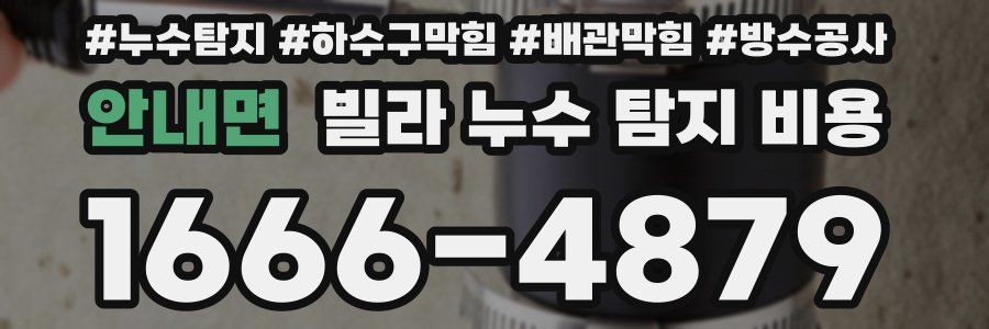 안내면 빌라 누수 탐지 비용