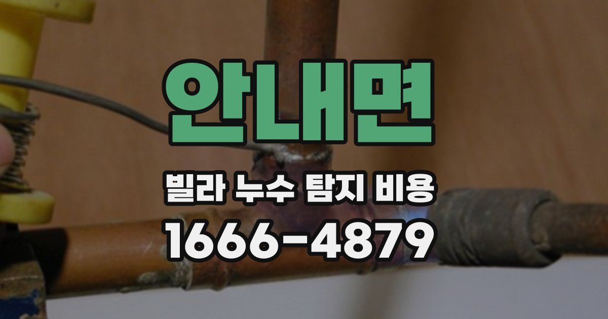 안내면 빌라 누수 탐지 비용
