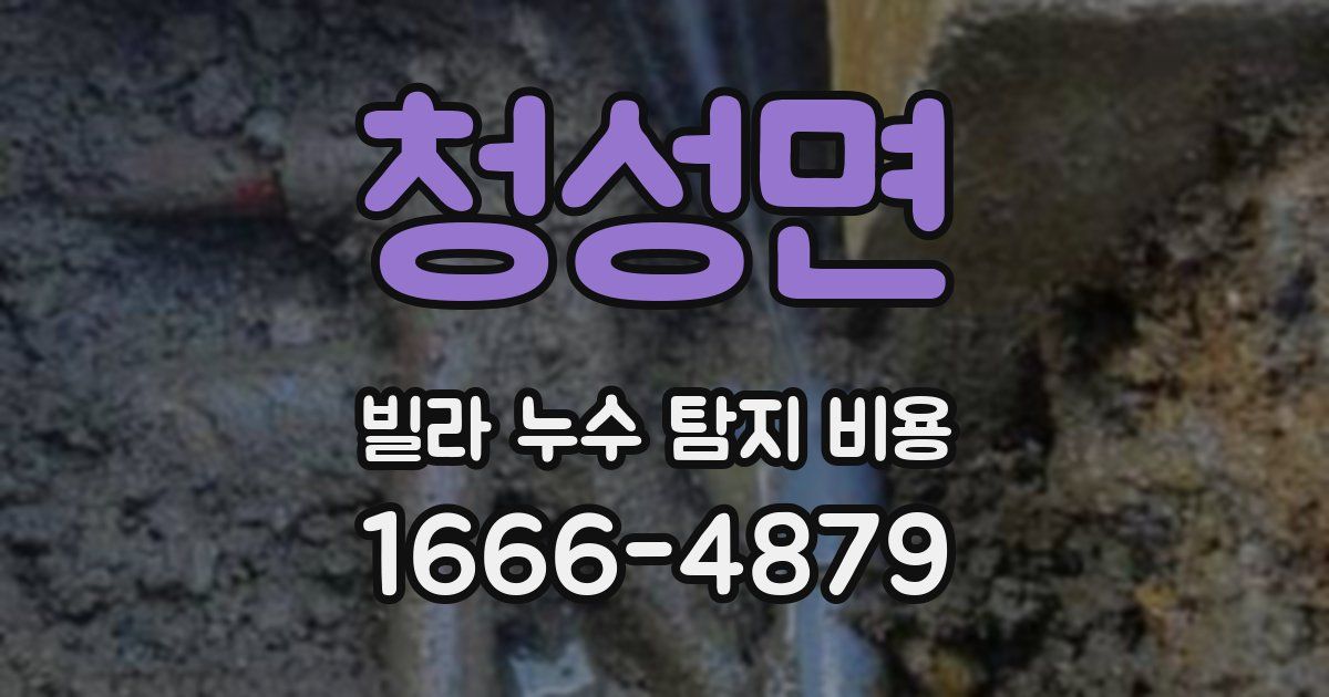 청성면 빌라 누수 탐지 비용