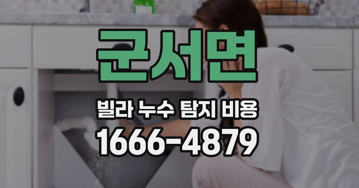 군서면 빌라 누수 탐지 비용