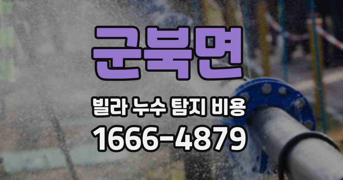 군북면 빌라 누수 탐지 비용