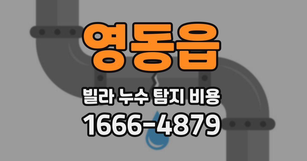 영동읍 빌라 누수 탐지 비용