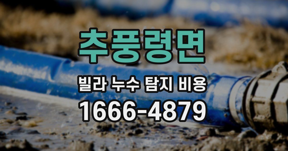 추풍령면 빌라 누수 탐지 비용