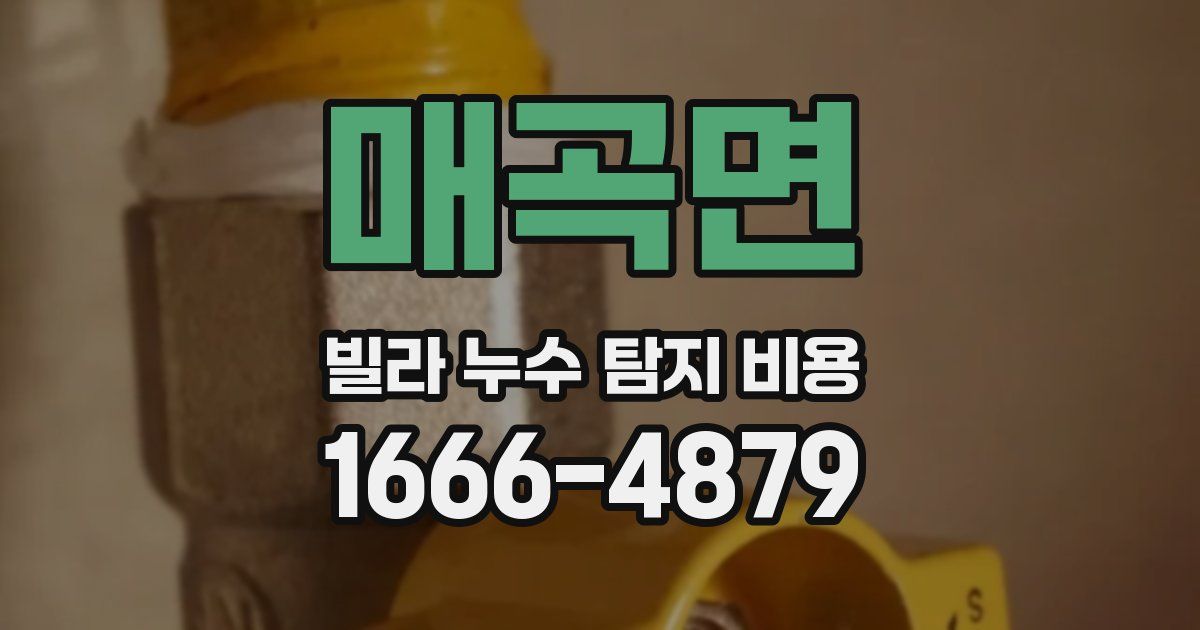 매곡면 빌라 누수 탐지 비용