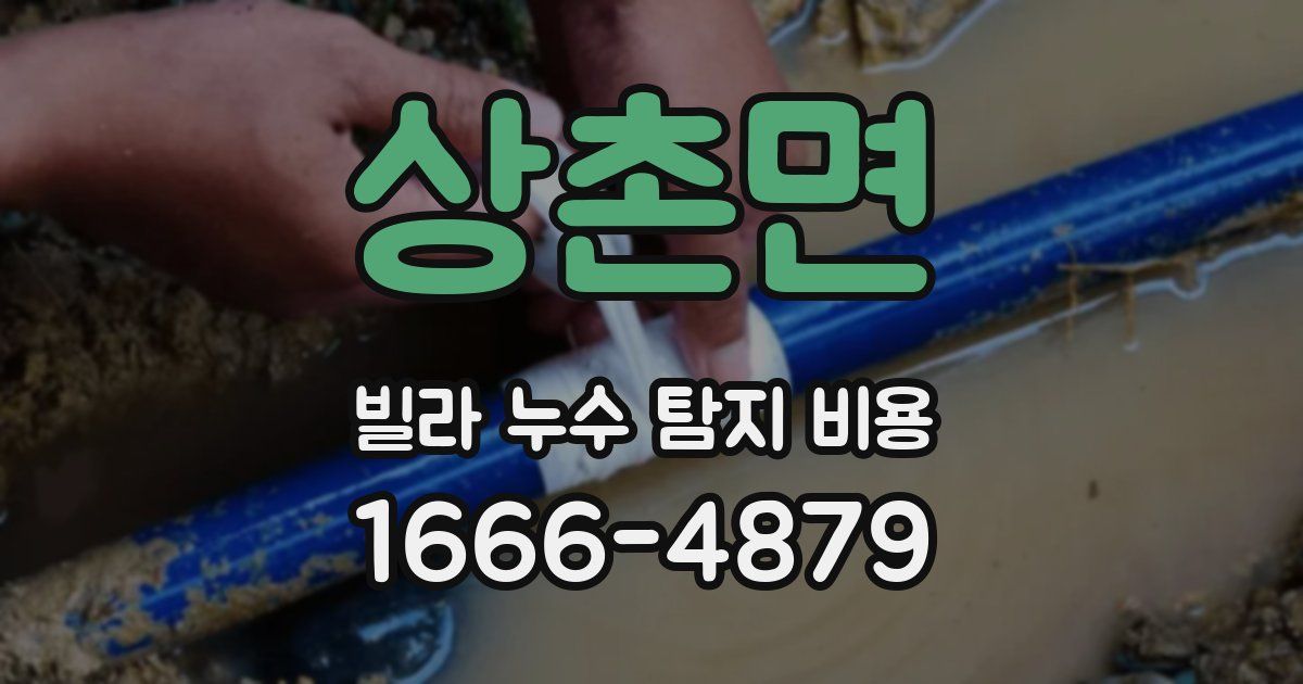 상촌면 빌라 누수 탐지 비용