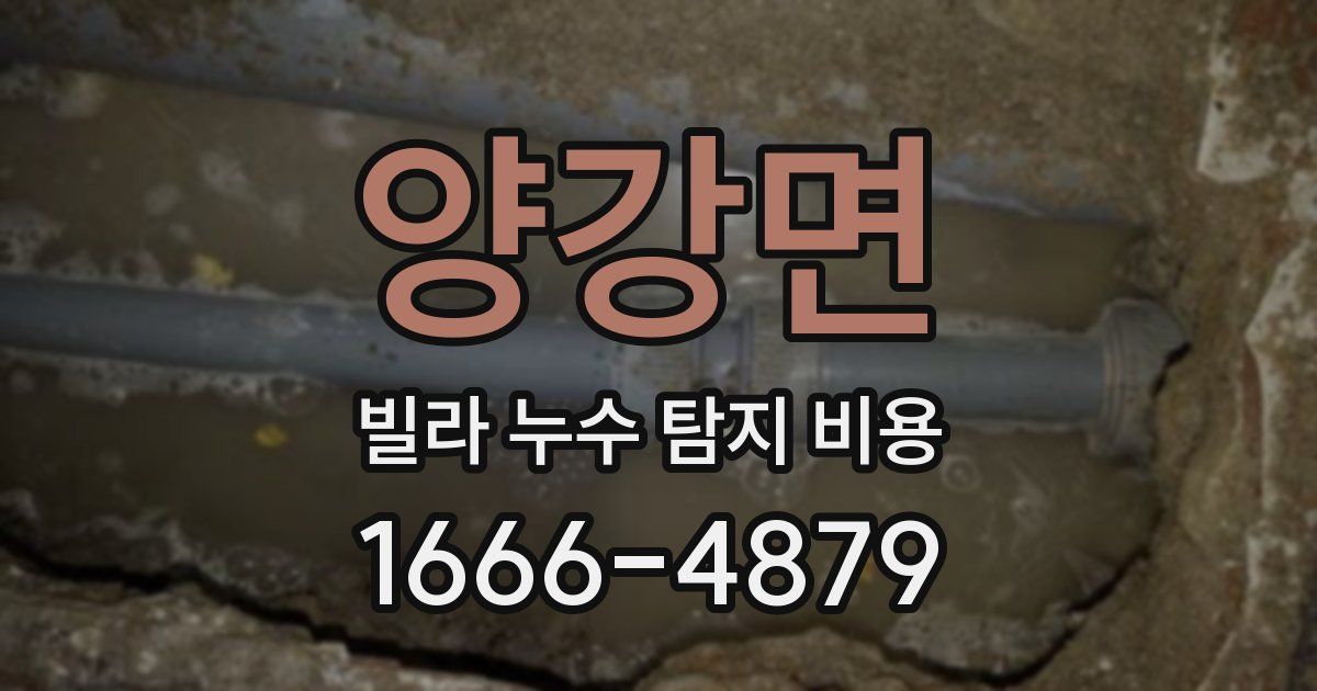양강면 빌라 누수 탐지 비용