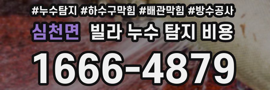 심천면 빌라 누수 탐지 비용