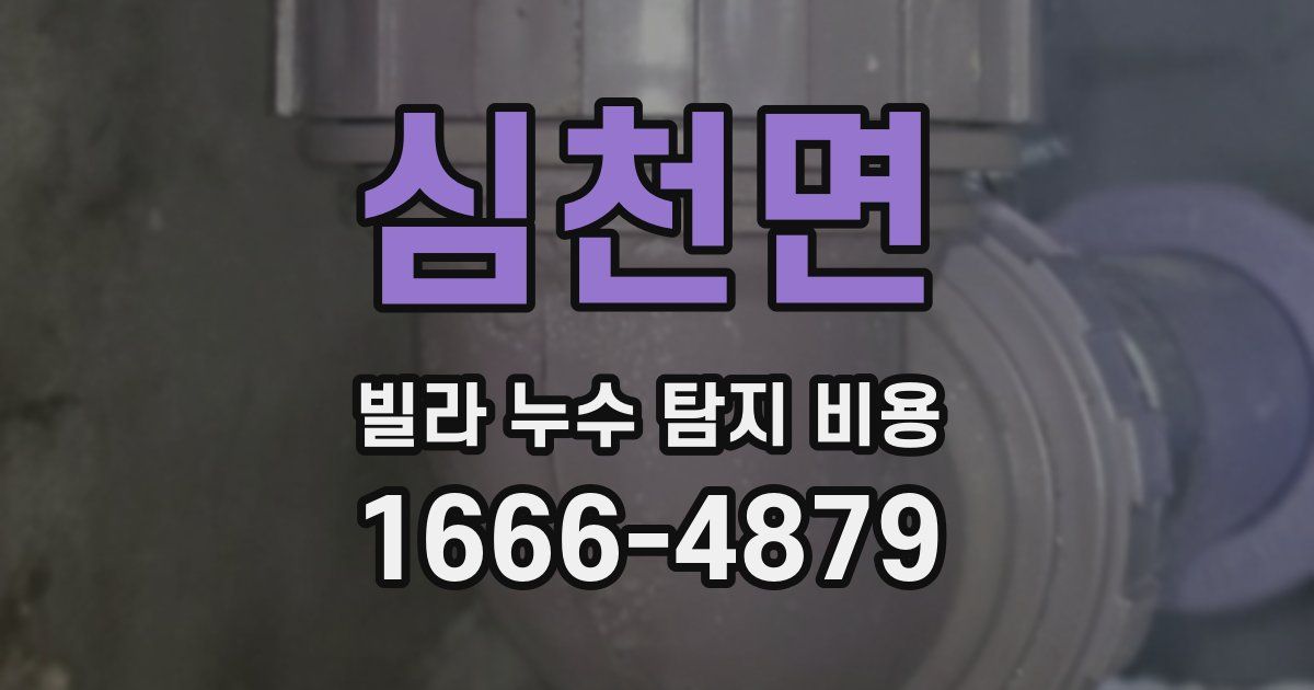 심천면 빌라 누수 탐지 비용