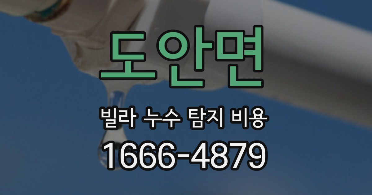 도안면 빌라 누수 탐지 비용