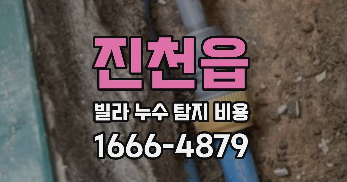 진천읍 빌라 누수 탐지 비용