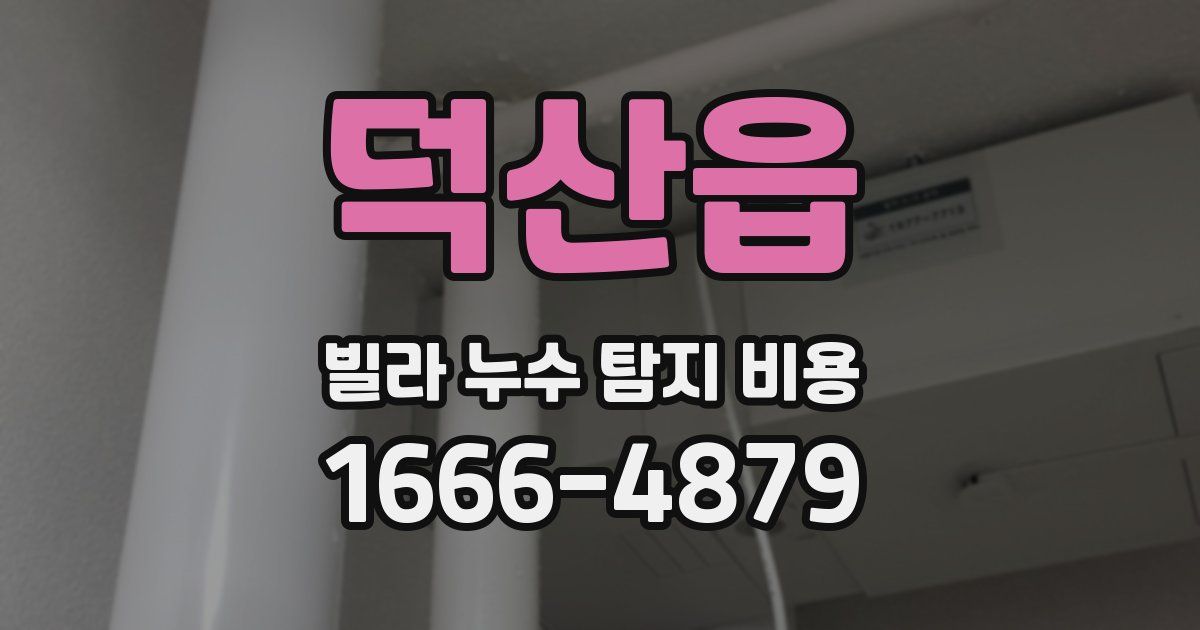덕산읍 빌라 누수 탐지 비용