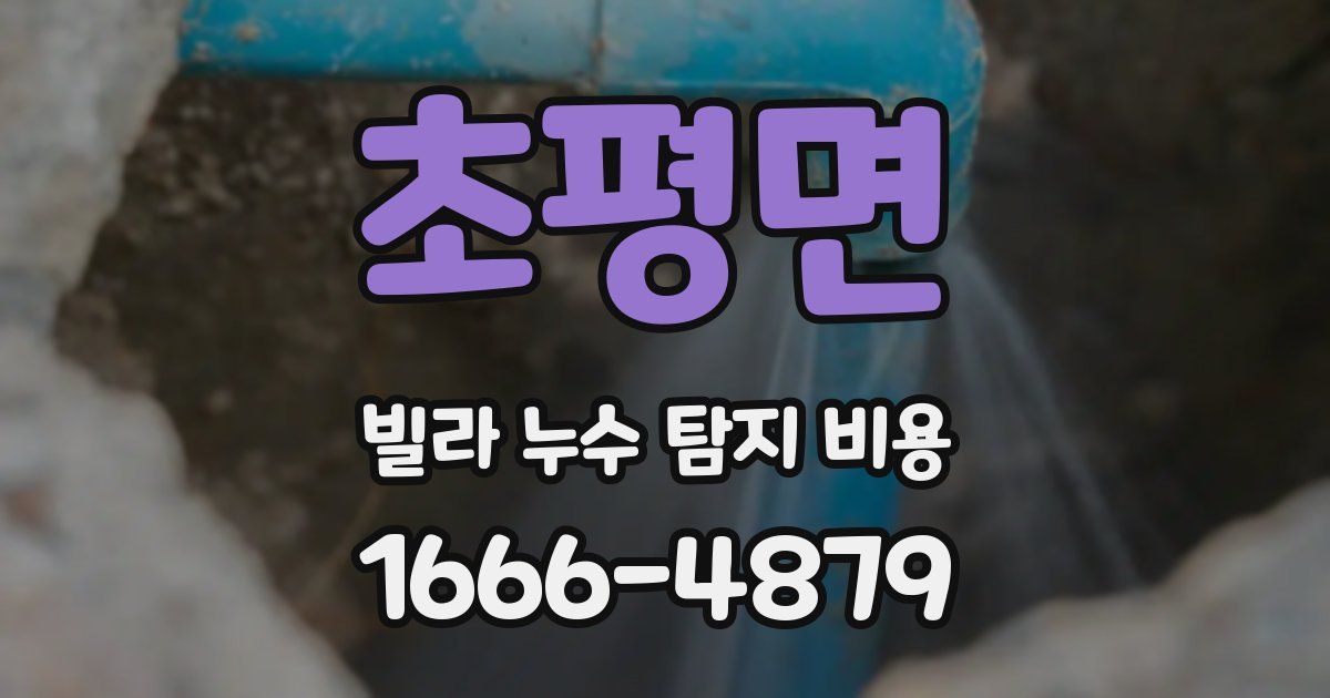 초평면 빌라 누수 탐지 비용