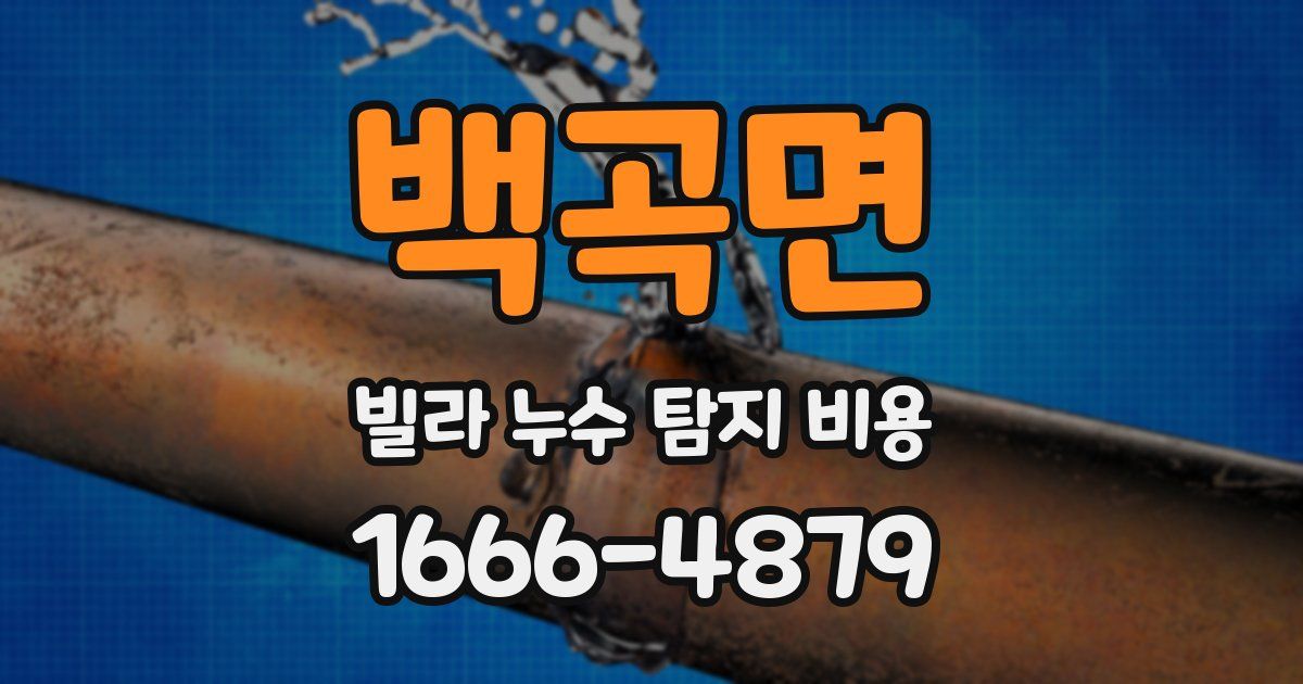 백곡면 빌라 누수 탐지 비용