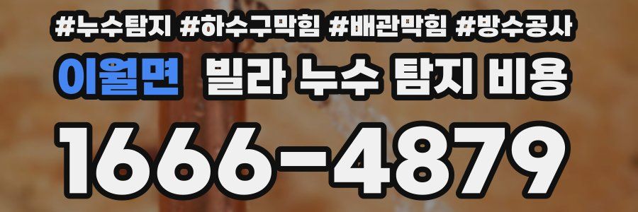 이월면 빌라 누수 탐지 비용