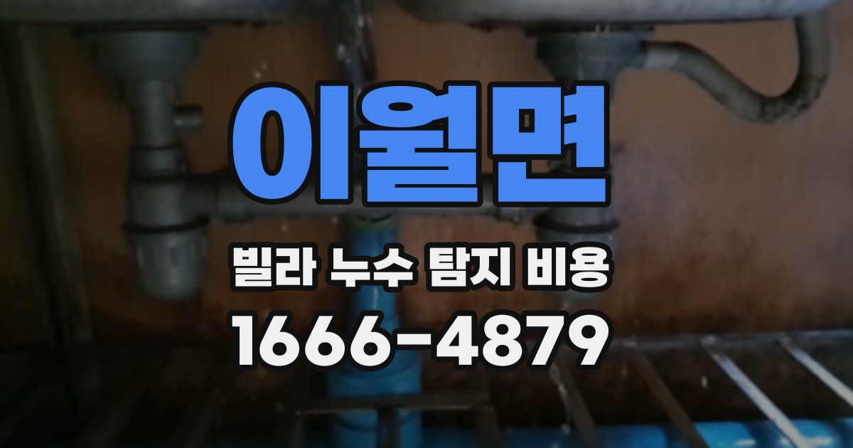 이월면 빌라 누수 탐지 비용