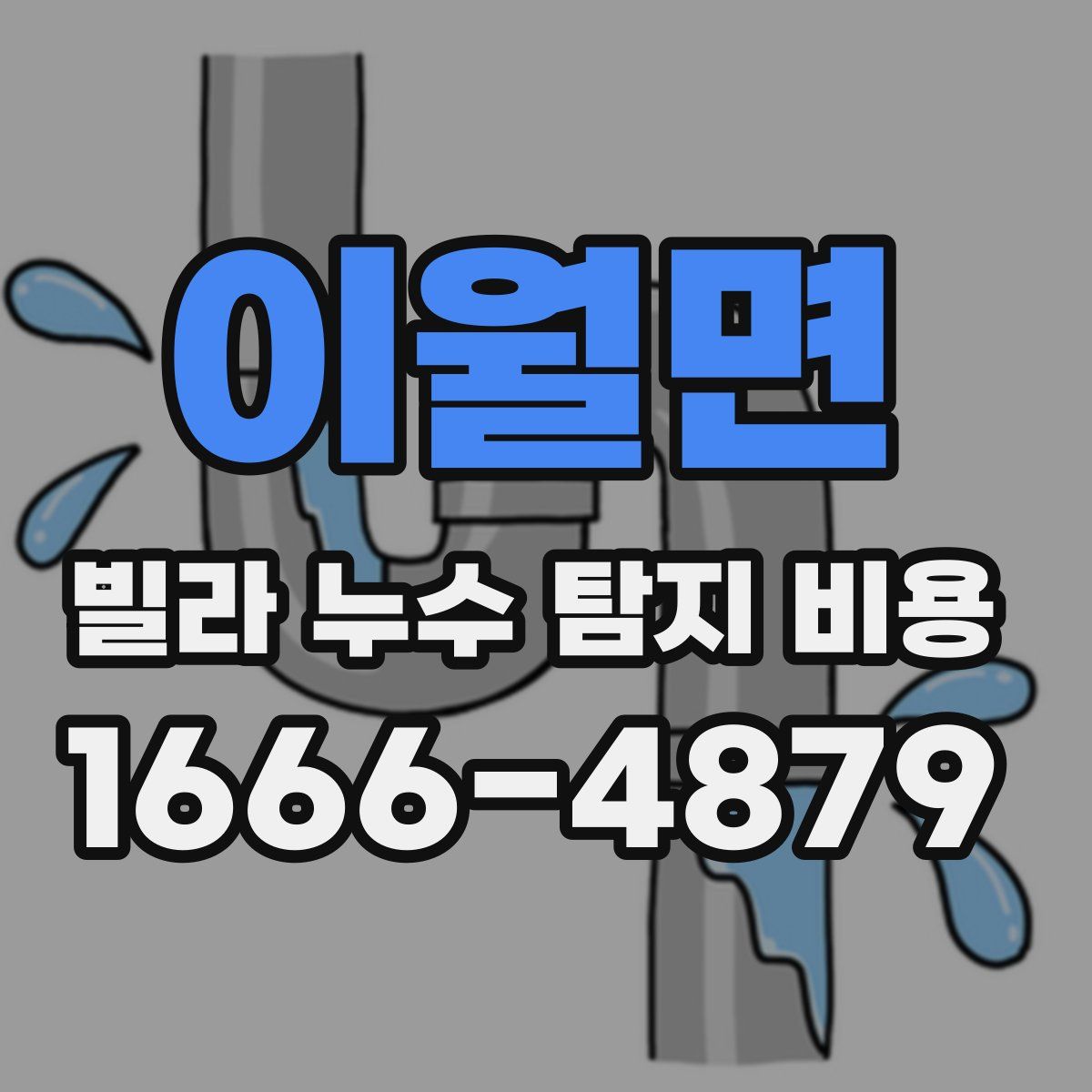 이월면 빌라 누수 탐지 비용