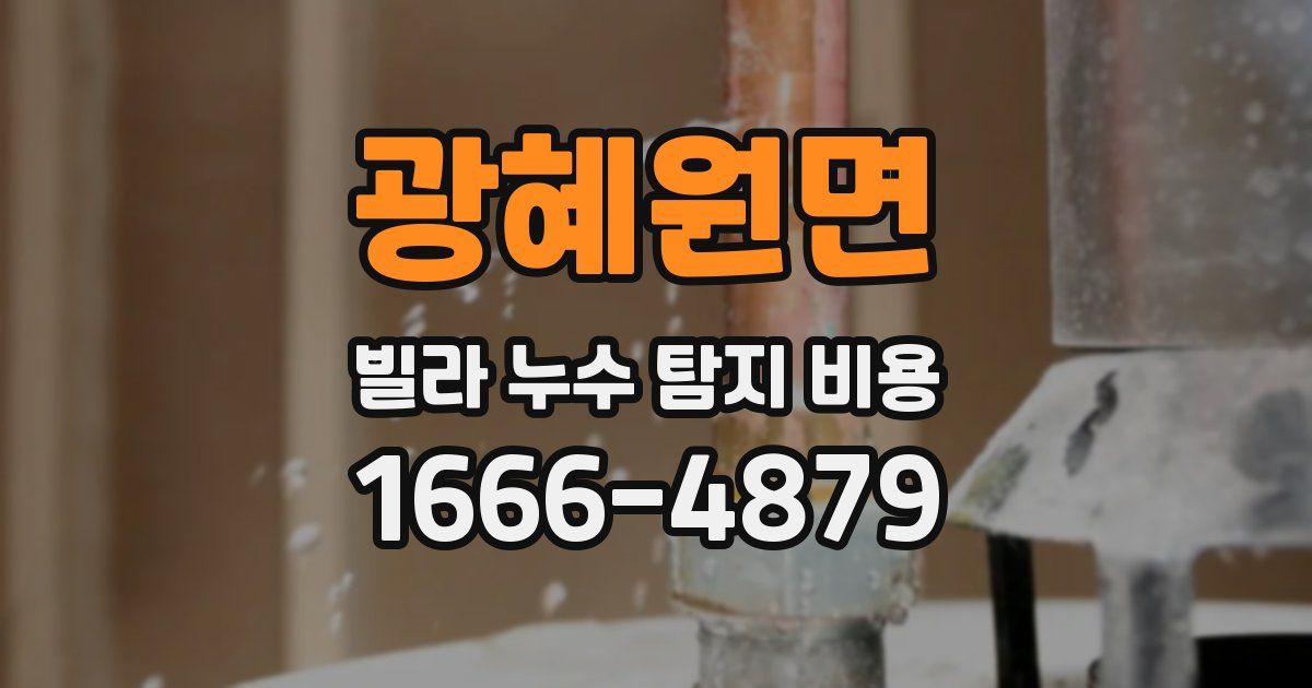 광혜원면 빌라 누수 탐지 비용