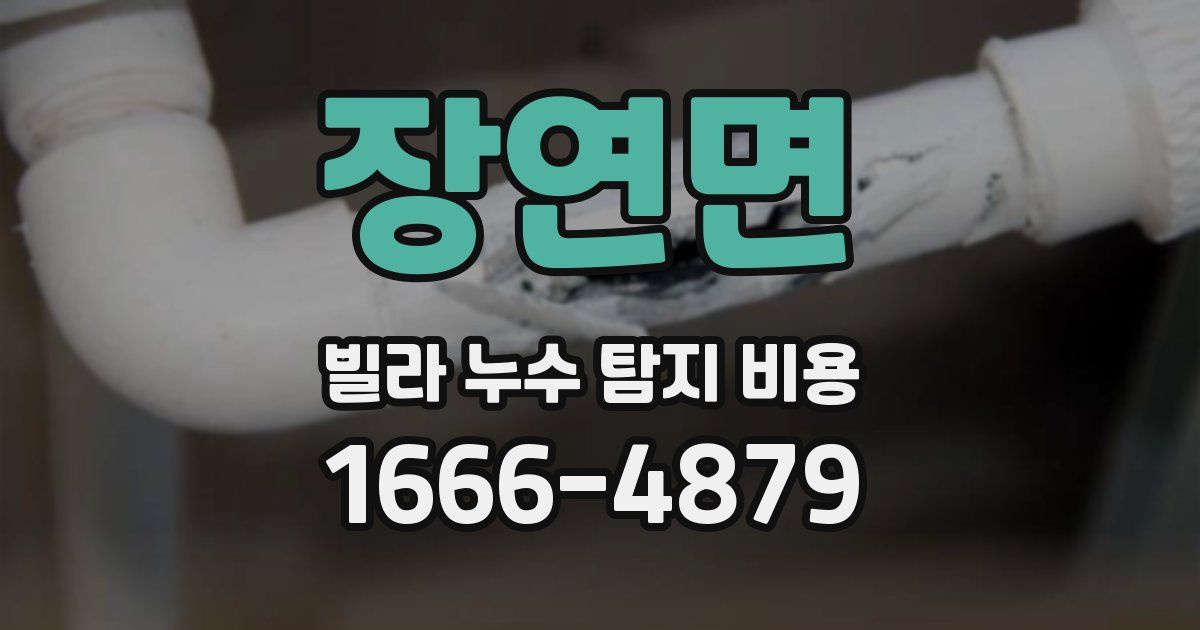 장연면 빌라 누수 탐지 비용