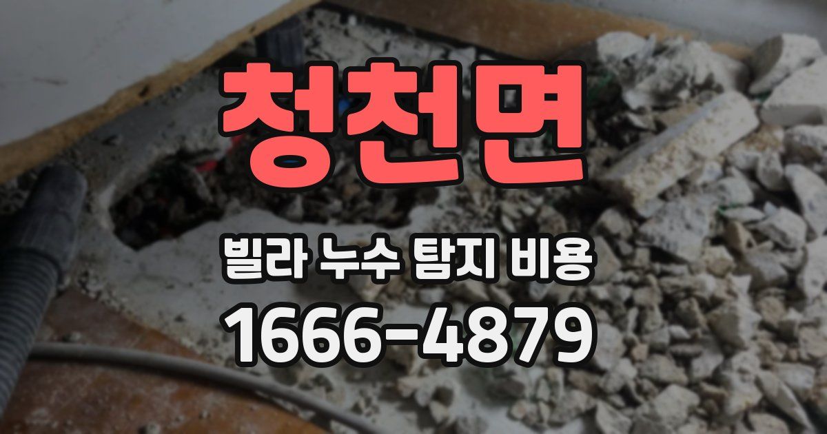 청천면 빌라 누수 탐지 비용