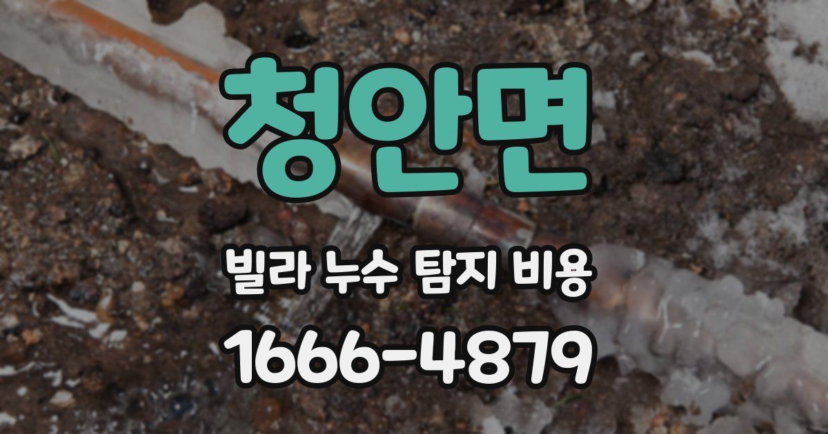 청안면 빌라 누수 탐지 비용