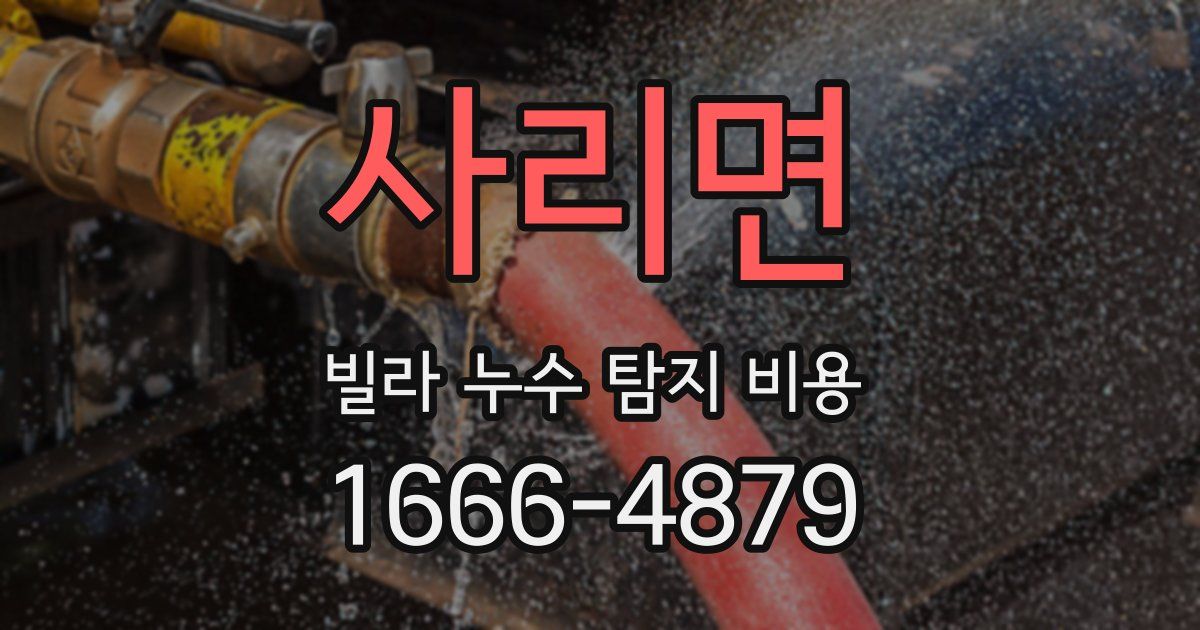 사리면 빌라 누수 탐지 비용