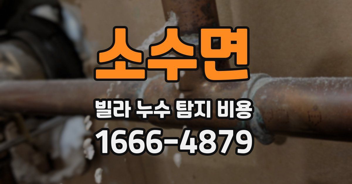 소수면 빌라 누수 탐지 비용