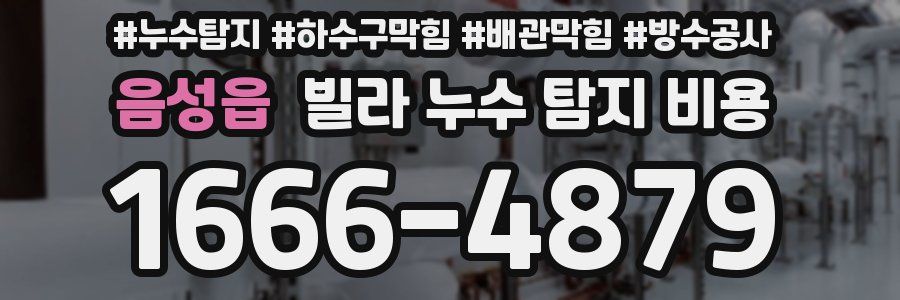 음성읍 빌라 누수 탐지 비용