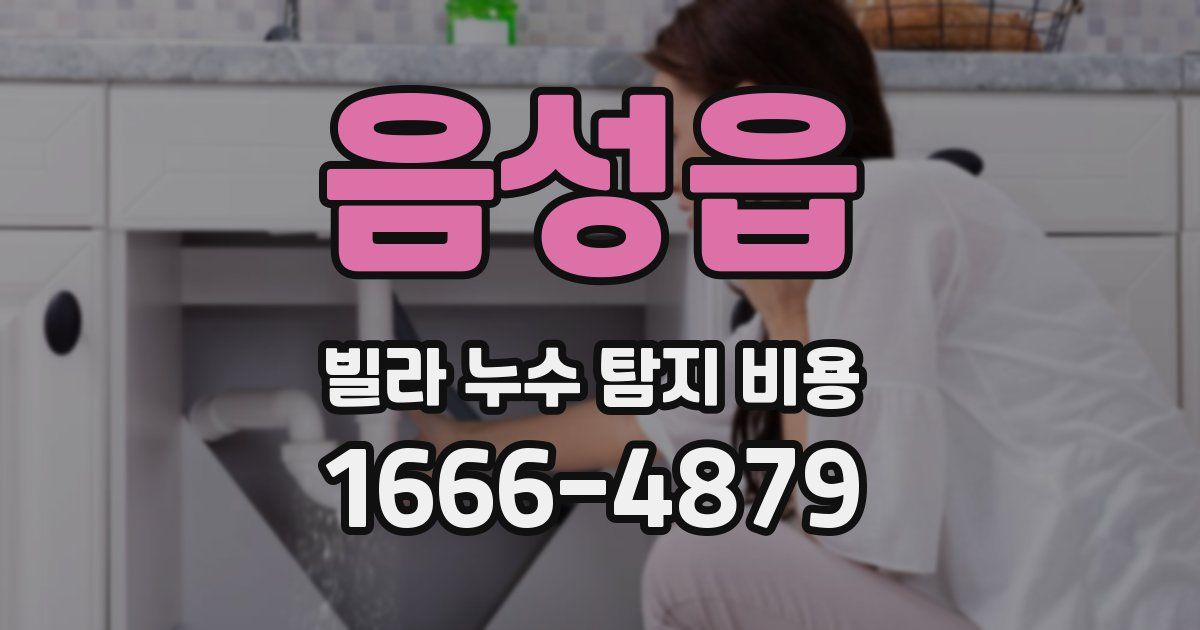 음성읍 빌라 누수 탐지 비용