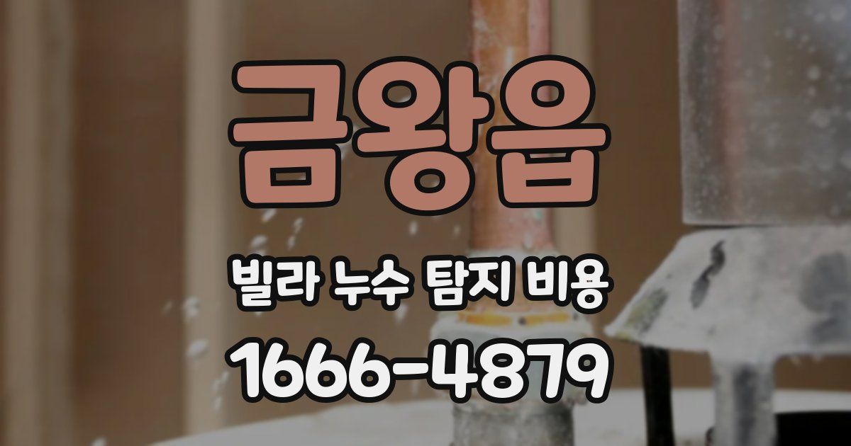 금왕읍 빌라 누수 탐지 비용