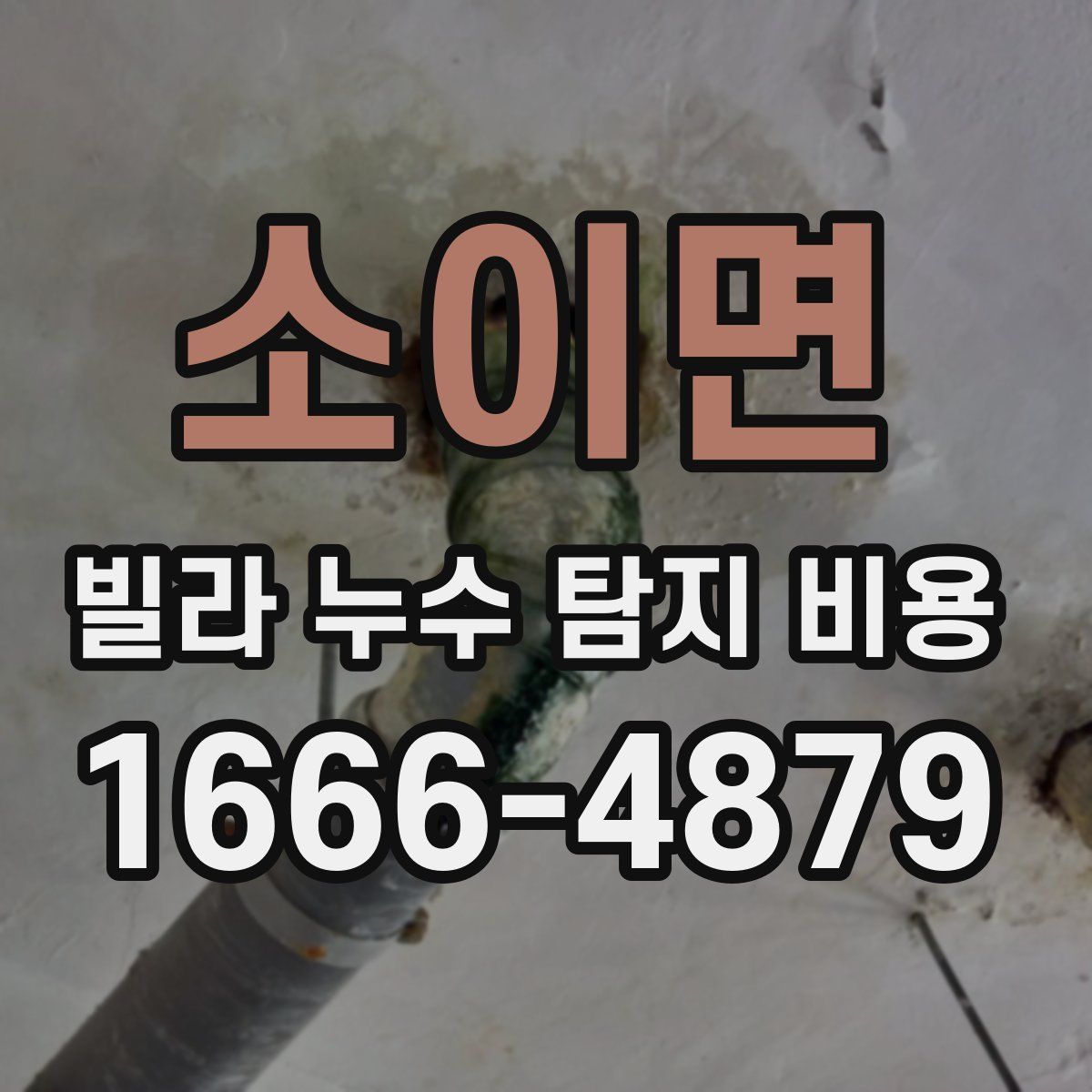 소이면 빌라 누수 탐지 비용