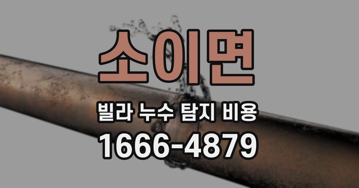 소이면 빌라 누수 탐지 비용