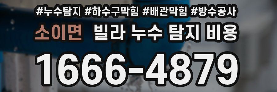 소이면 빌라 누수 탐지 비용