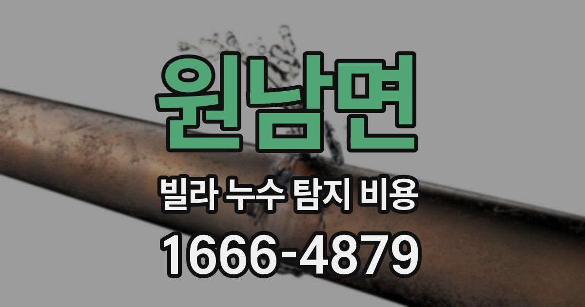 원남면 빌라 누수 탐지 비용