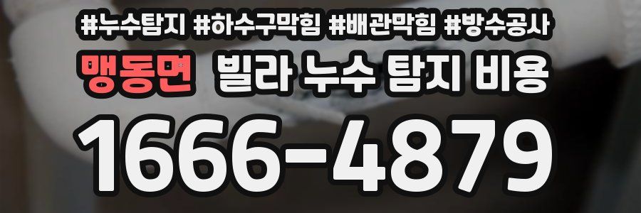 맹동면 빌라 누수 탐지 비용
