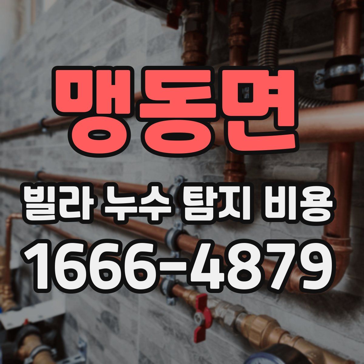 맹동면 빌라 누수 탐지 비용