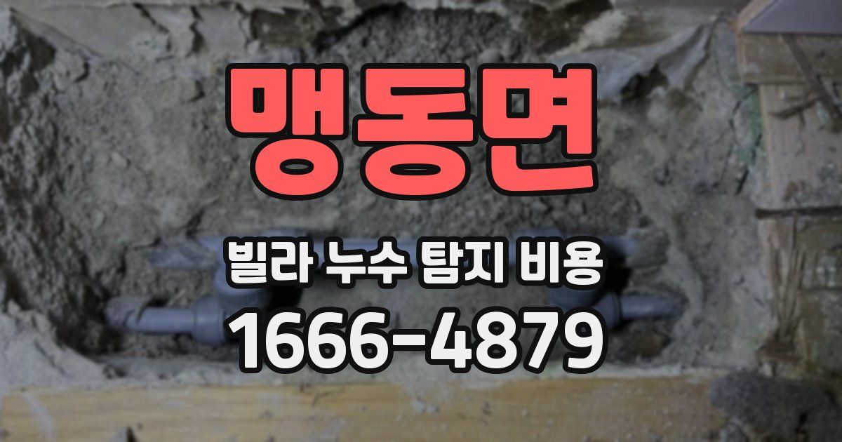 맹동면 빌라 누수 탐지 비용