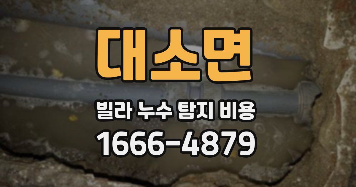 대소면 빌라 누수 탐지 비용