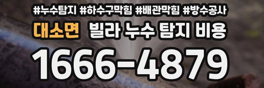 대소면 빌라 누수 탐지 비용