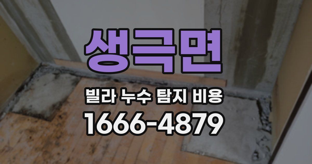 생극면 빌라 누수 탐지 비용