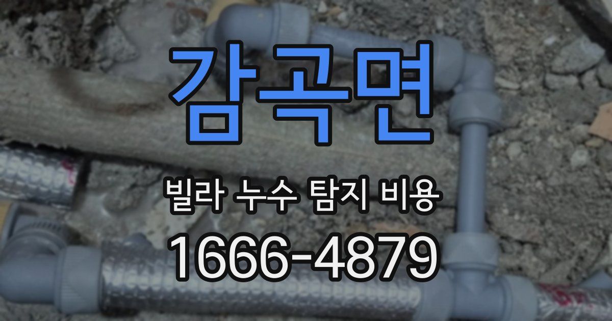 감곡면 빌라 누수 탐지 비용
