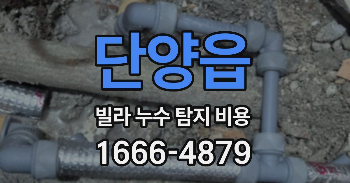 단양읍 빌라 누수 탐지 비용
