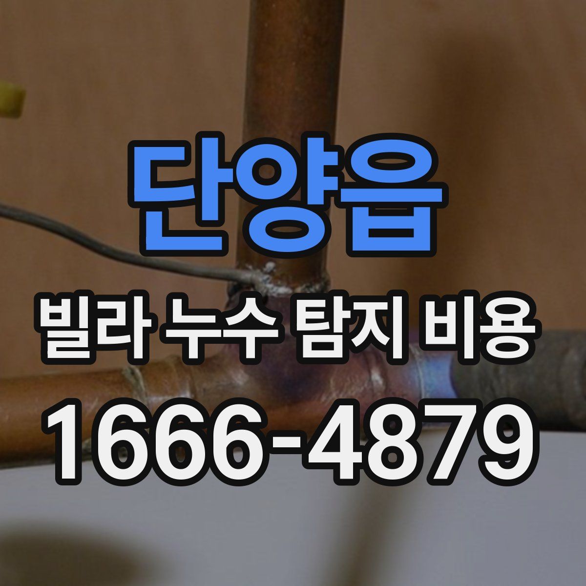 단양읍 빌라 누수 탐지 비용