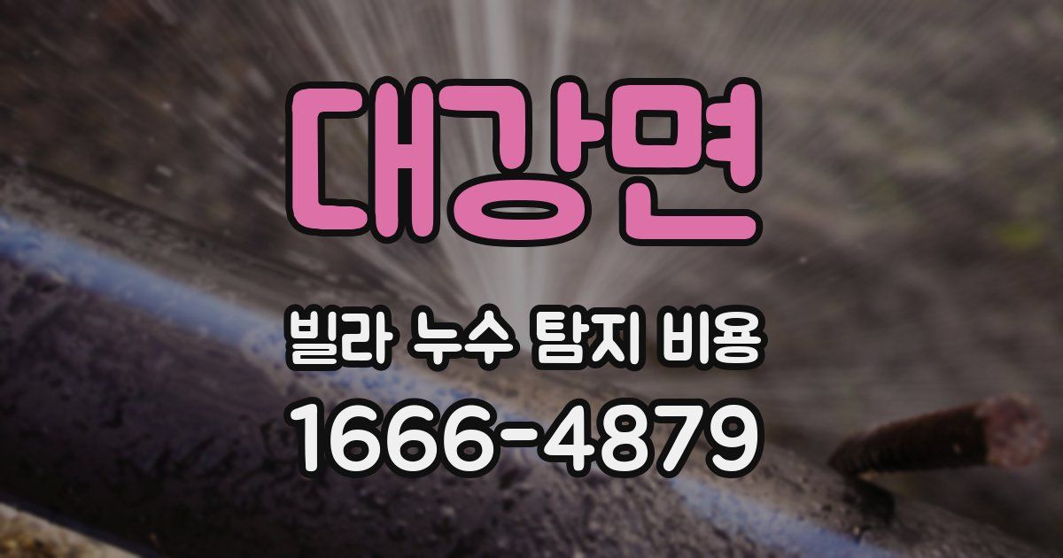 대강면 빌라 누수 탐지 비용