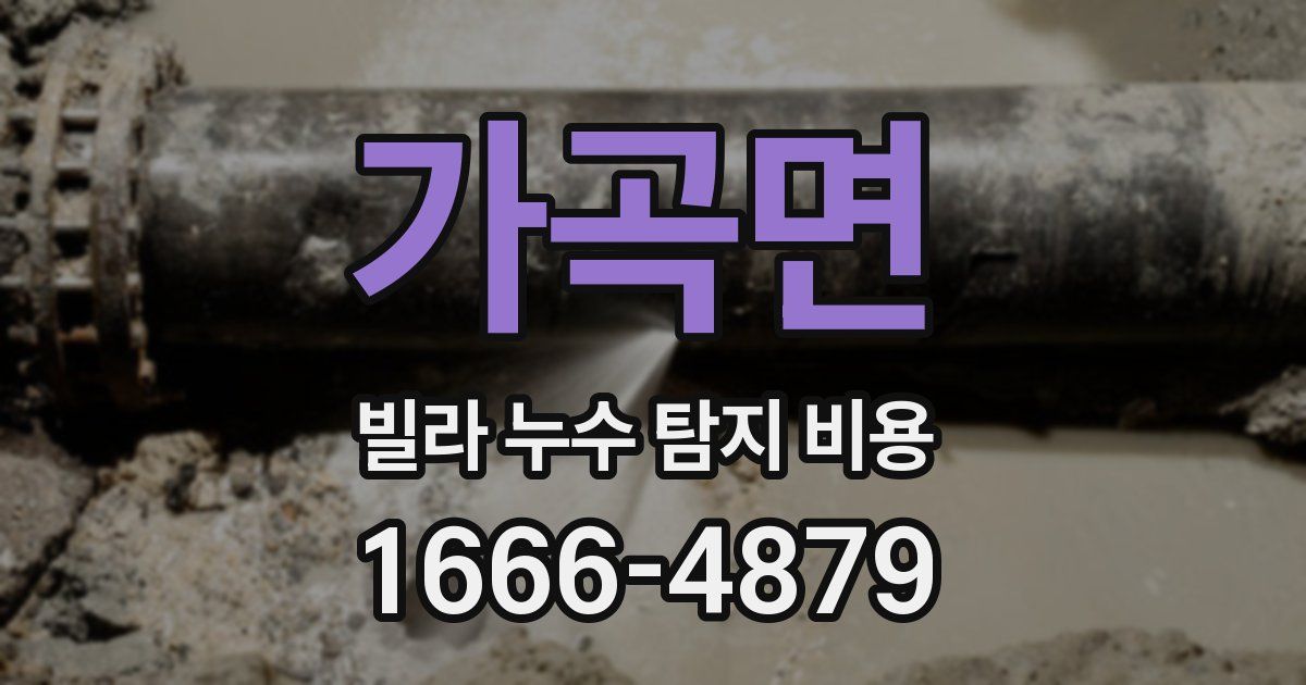 가곡면 빌라 누수 탐지 비용