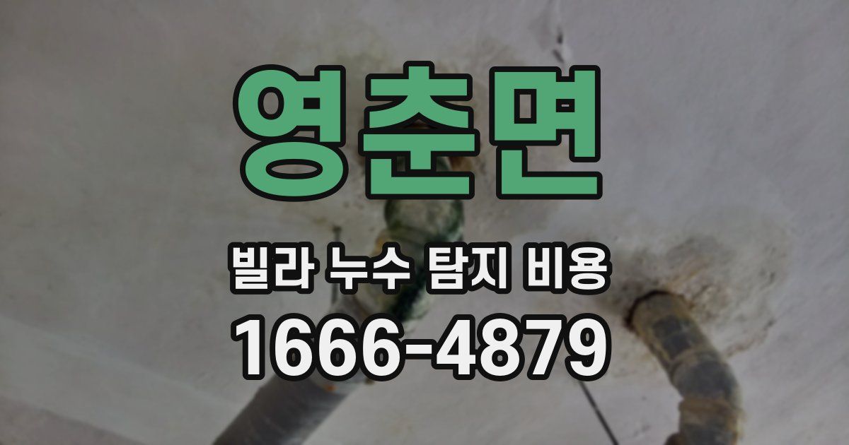 영춘면 빌라 누수 탐지 비용