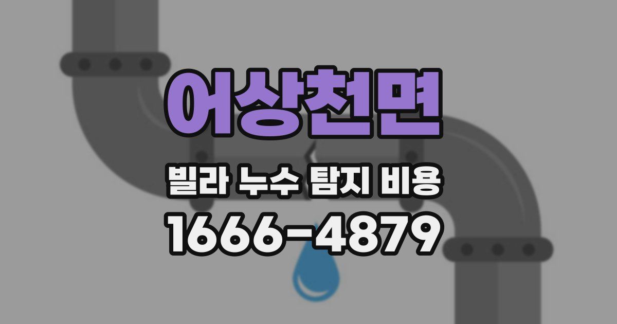어상천면 빌라 누수 탐지 비용
