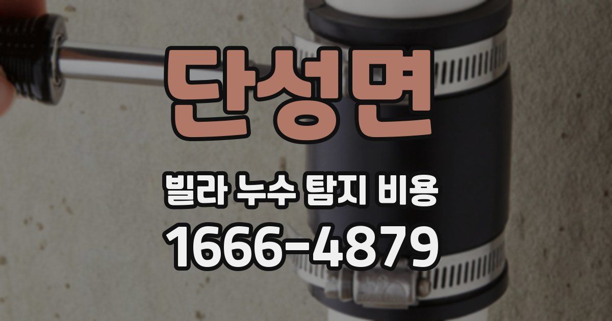 단성면 빌라 누수 탐지 비용