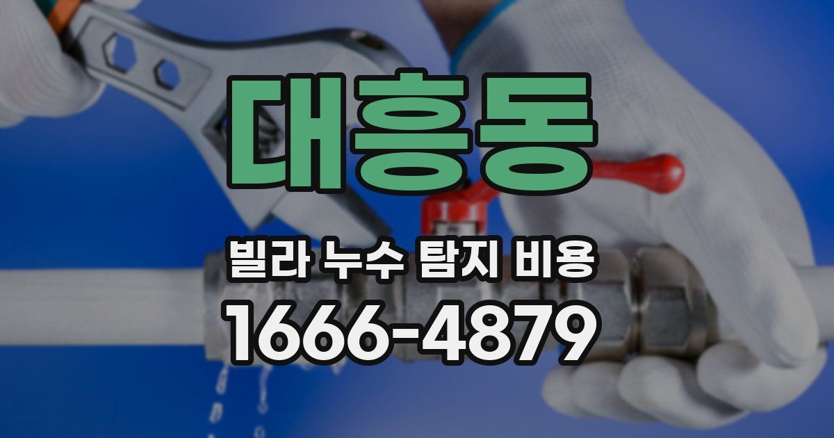 대흥동 빌라 누수 탐지 비용