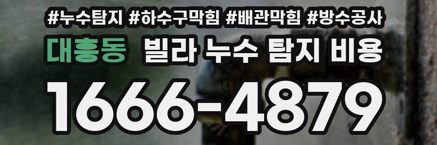 대흥동 빌라 누수 탐지 비용