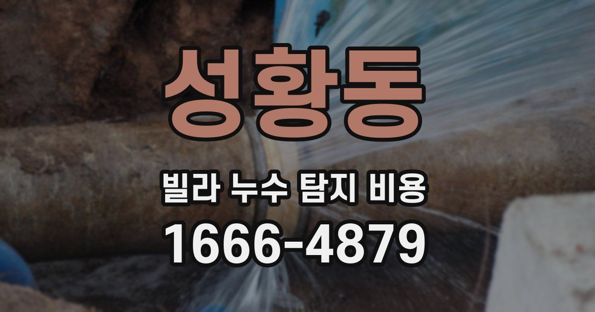 성황동 빌라 누수 탐지 비용